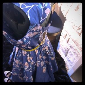 Fit and Flare Blue Floral Dress
